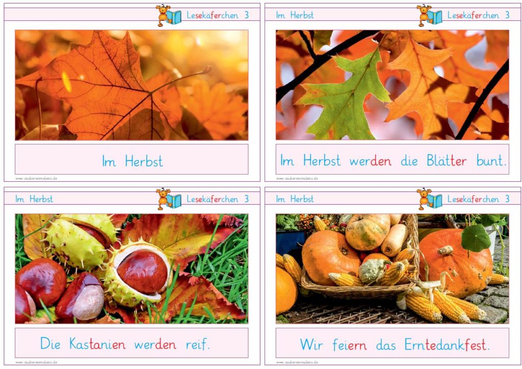 Lesekäferchen: Im Herbst – Zaubereinmaleins Shop